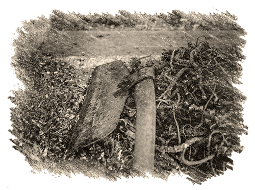 Footer2